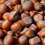 Noccioleti biologici in Italia