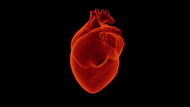 Cardiopatia ischemica: di cosa si tratta? Diagnosi e trattamenti